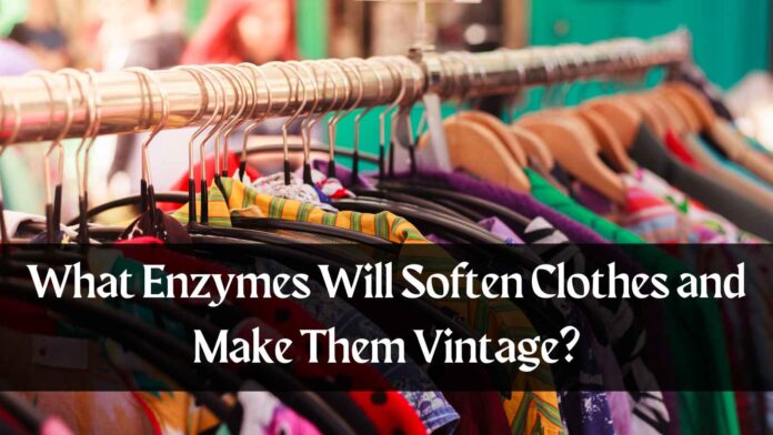 What Enzymes Will Soften Clothes and Make Them Vintage?